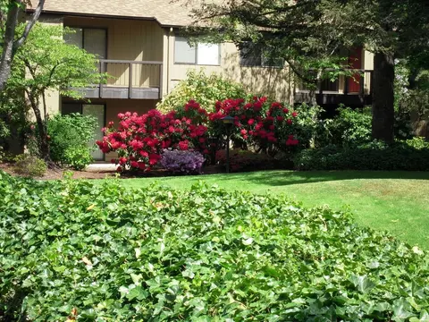 1800 Cal Young Rd, Eugene, OR 97401