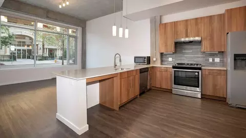1935 N Logan St, Denver, CO 80203 photo 39