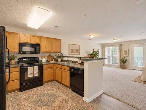215 William Penn Plz, Durham, NC 27704 photo 13