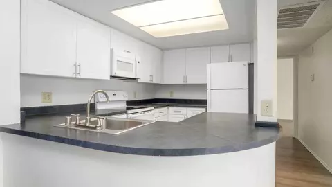 873 Stevens Ave, Solana Beach, CA 92075 photo 16