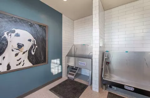4343 S Picadilly St, Centennial, CO 80015 photo 15