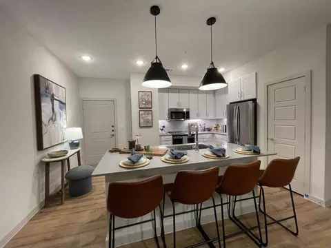 149 Larkspur Park Blvd, Leander, TX 78641 photo 10