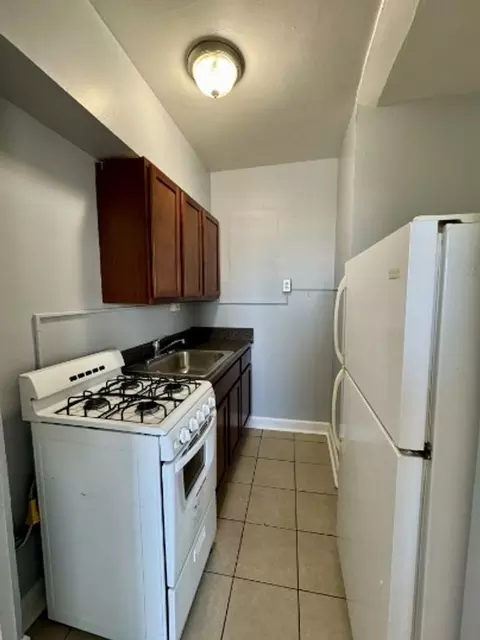 1061 W Rosemont Ave, Chicago, IL 60660