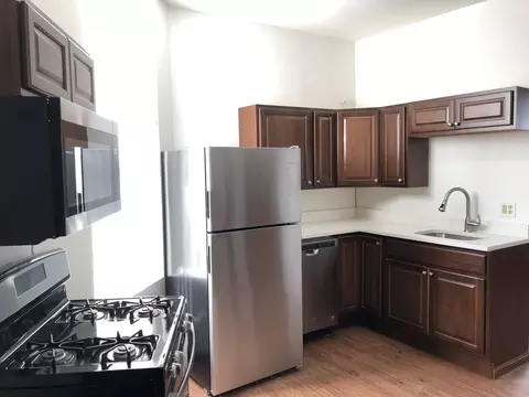 1642 S Allport St, Chicago, IL 60608