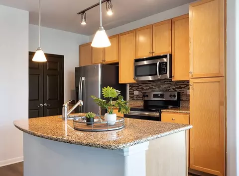 300 N Lamar Blvd, Austin, TX 78703 photo 17