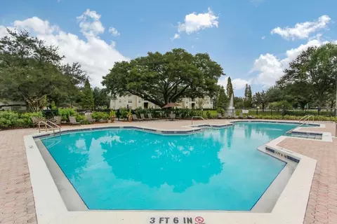 9474 Windermere Lake Dr, Riverview, FL 33578 photo 7