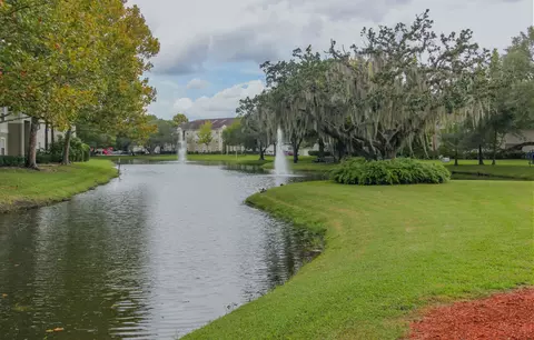 9474 Windermere Lake Dr, Riverview, FL 33578 photo 9