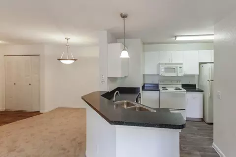9474 Windermere Lake Dr, Riverview, FL 33578 photo 20