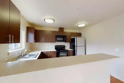 13700 NE 10th Pl, Bellevue, WA 98005 photo 11