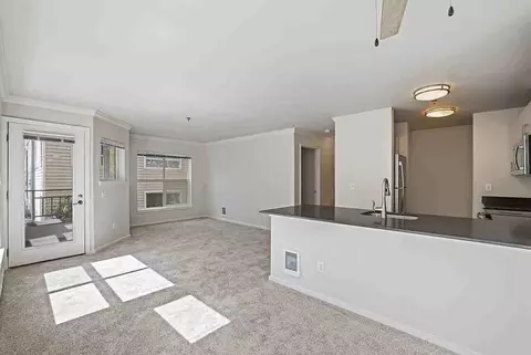 11200 NE 11th St, Bellevue, WA 98004 photo 18