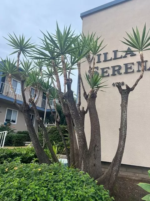 4728 Lamont St, San Diego, CA 92109