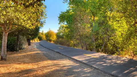 325 Union Ave, Campbell, CA 95008 photo 32