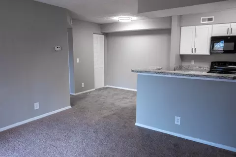 100 Chimneytop Dr, Antioch, TN 37013 photo 53