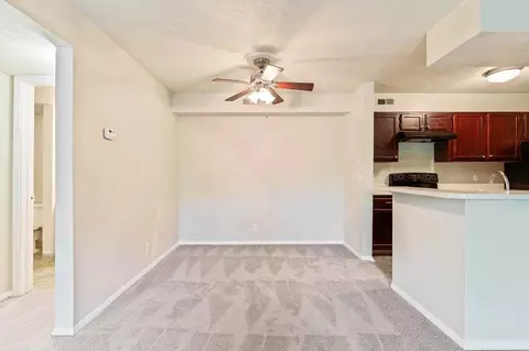 100 Chimneytop Dr, Antioch, TN 37013 photo 37
