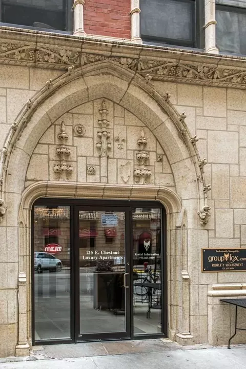 215 E Chestnut St, Chicago, IL 60611 photo 46
