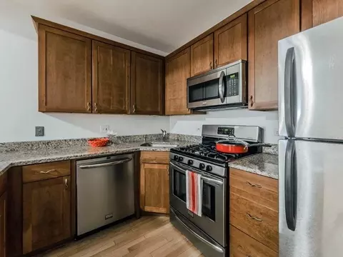 215 E Chestnut St, Chicago, IL 60611 photo 22