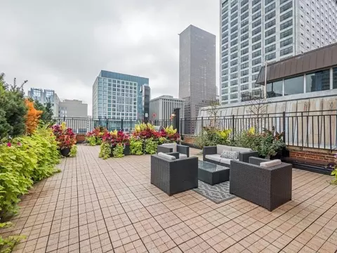 215 E Chestnut St, Chicago, IL 60611 photo 40
