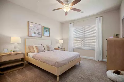1001 Amelia Station Way, Clayton, NC 27520 photo 12
