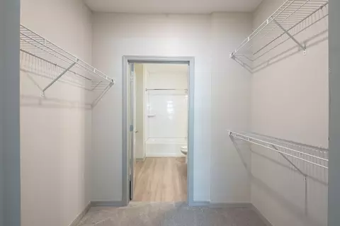 6307 N Nebraska Ave, Tampa, FL 33604 photo 101