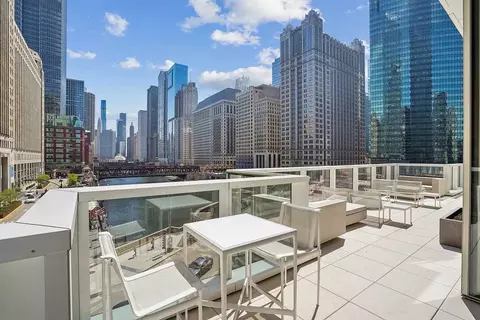 313 W Wolf Point Plaza Dr, Chicago, IL 60654 photo 31