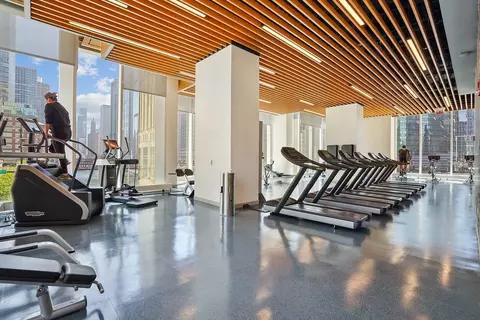 313 W Wolf Point Plaza Dr, Chicago, IL 60654 photo 24