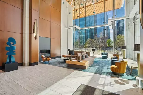313 W Wolf Point Plaza Dr, Chicago, IL 60654 photo 9