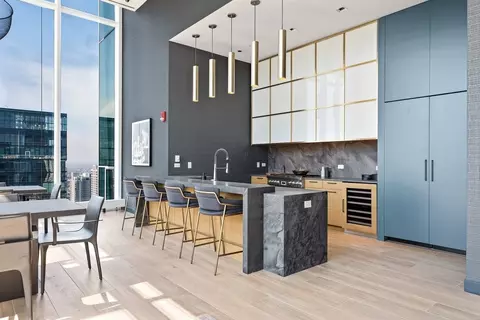313 W Wolf Point Plaza Dr, Chicago, IL 60654 photo 13