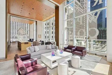 313 W Wolf Point Plaza Dr, Chicago, IL 60654 photo 32