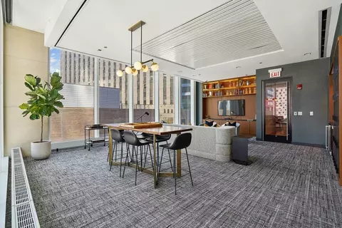 313 W Wolf Point Plaza Dr, Chicago, IL 60654 photo 43