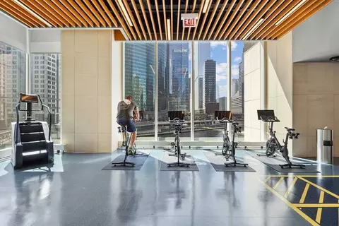313 W Wolf Point Plaza Dr, Chicago, IL 60654 photo 25