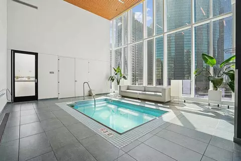 313 W Wolf Point Plaza Dr, Chicago, IL 60654 photo 49