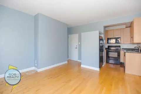 732 W Bittersweet Pl, Chicago, IL 60613