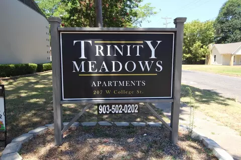 207 W College St, Athens, TX 75751