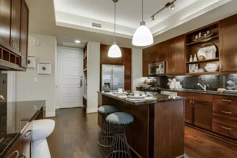 214 Barton Springs Rd, Austin, TX 78704 photo 28