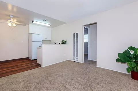 4417 Parks Ave, La Mesa, CA 91941 photo 22