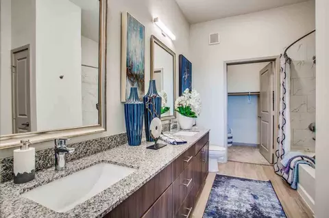 2011 Texas Plaza Dr, Irving, TX 75062 photo 40