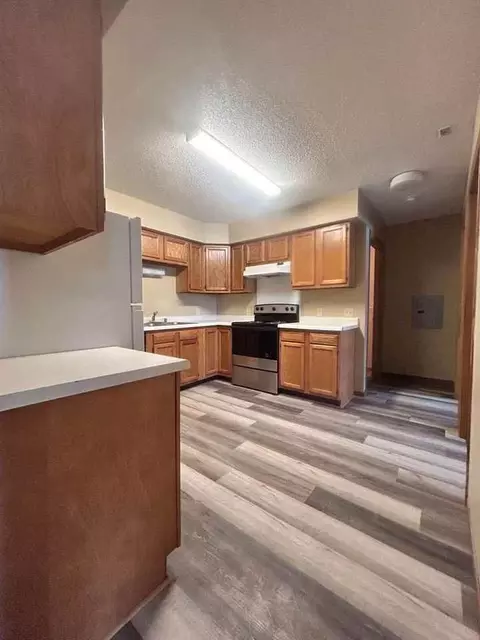 1012 13th St, Chetek, WI 54728 photo 3