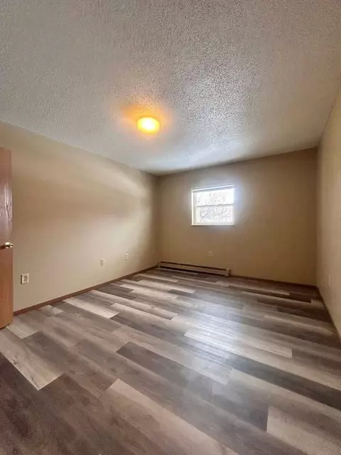 1012 13th St, Chetek, WI 54728 photo 8