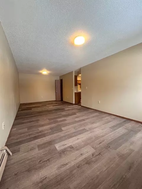 1012 13th St, Chetek, WI 54728 photo 2