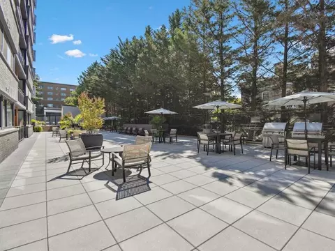 2950 Van Ness St NW, Washington, DC 20008 photo 31