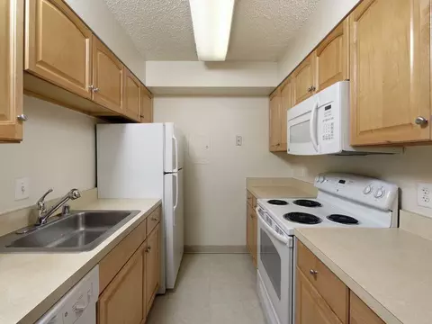 2950 Van Ness St NW, Washington, DC 20008 photo 10