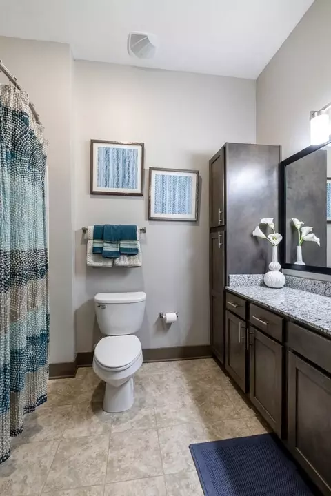2112 Vintage Tollgate Dr, Thompsons Station, TN 37179 photo 112