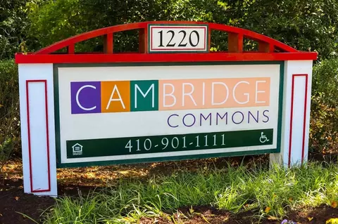 1220 Chestnut Pl, Cambridge, MD 21613 photo 3