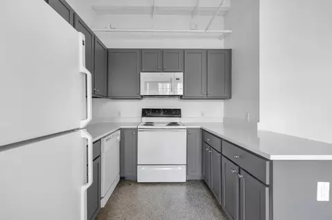 1101 Elder St, Houston, TX 77007