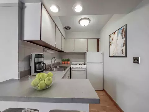 639 W Grace St, Chicago, IL 60613 photo 16