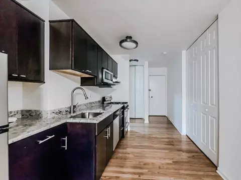 639 W Grace St, Chicago, IL 60613 photo 23