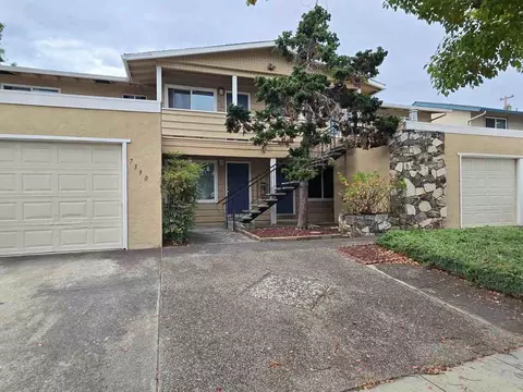 7390 Rainbow Dr, Cupertino, CA 95014 photo 9