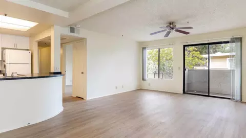 873 Stevens Ave, Solana Beach, CA 92075 photo 10