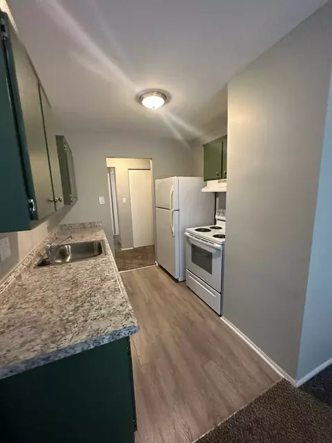 384 Vester St, Ferndale, MI 48220