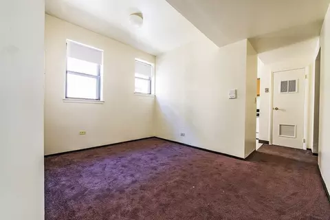 5015 S Champlain Ave, Chicago, IL 60615 photo 42